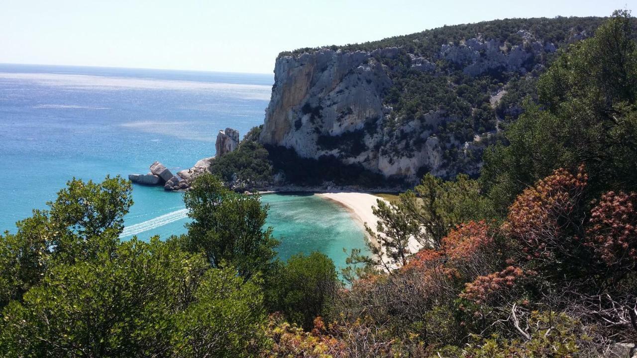 Il Giardino All'Angolo Villacidro Buitenkant foto
