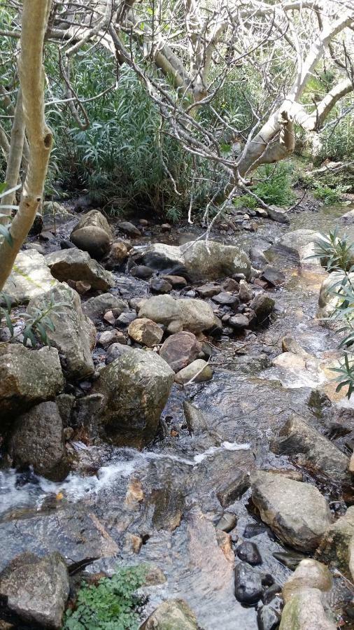 Il Giardino All'Angolo Villacidro Buitenkant foto