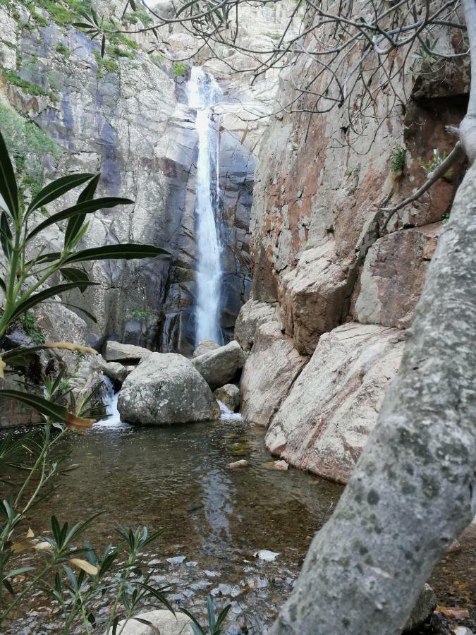 Il Giardino All'Angolo Villacidro Buitenkant foto