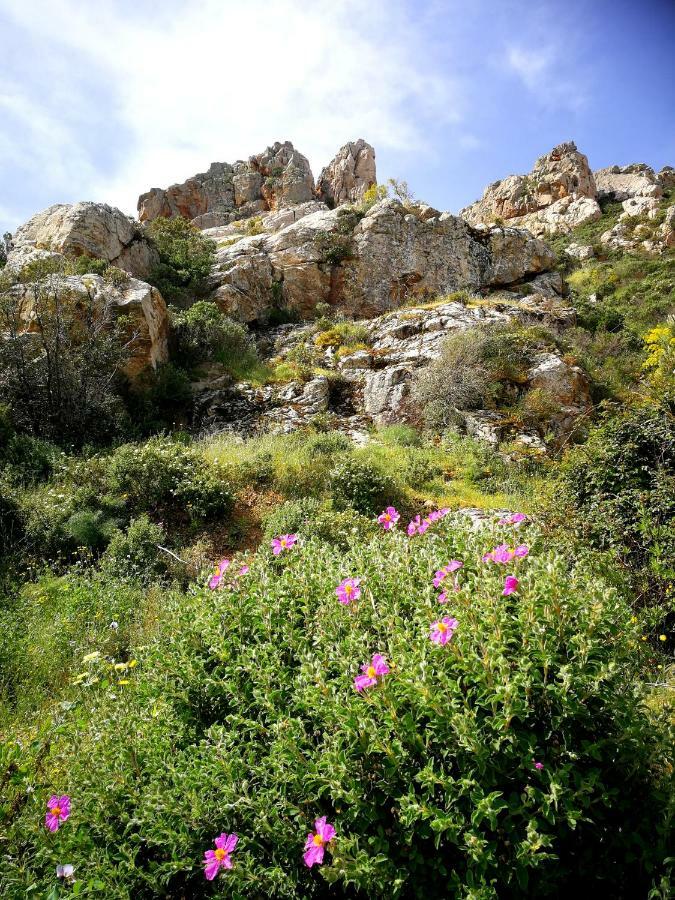Il Giardino All'Angolo Villacidro Buitenkant foto